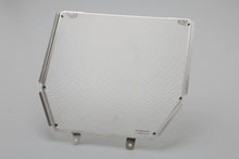 AELLA Radiator Guard for Ducati Diavel V4