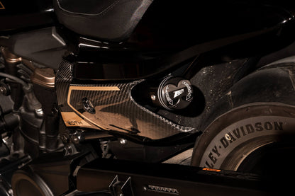 Zard 120th ANNIVERSARY LIMITED EDITION Carbon Fiber Radiator Covers, Front Fender, Side Panel, Billet Radiator Cap and Rear Suspension Knob Kit for Harley Davidson Sportster S 1250