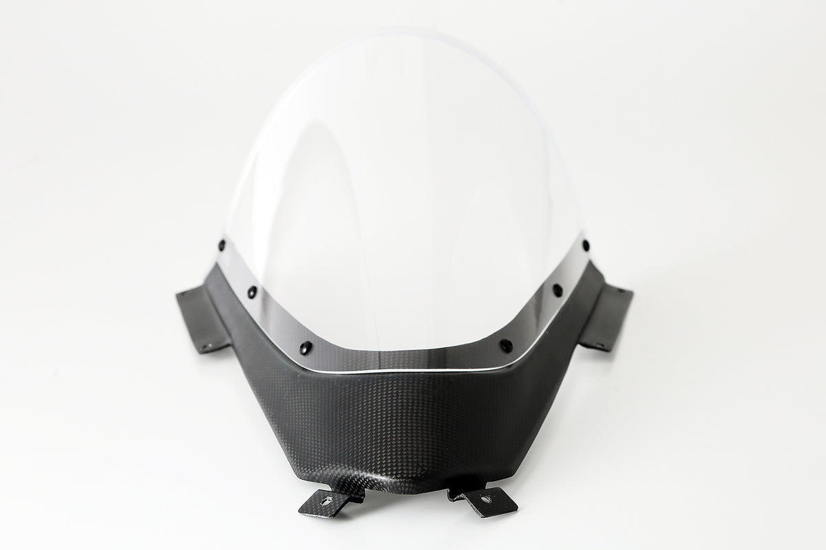 AELLA Carbon Fiber Trim Racing Windscreen For the Ducati Panigale V4 R (19-24) and V4 / S / SP (20-24)