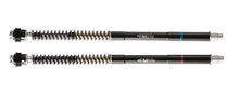 Matris F25SA Fork Cartridge Kit for the Triumph Daytona 675 (2013-2018) (Kayaba Forks)