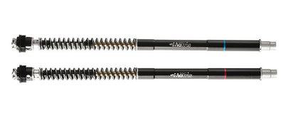 Matris F25SA Fork Cartridge Kit for the Triumph Daytona 675 (2013-2018) (Kayaba Forks)