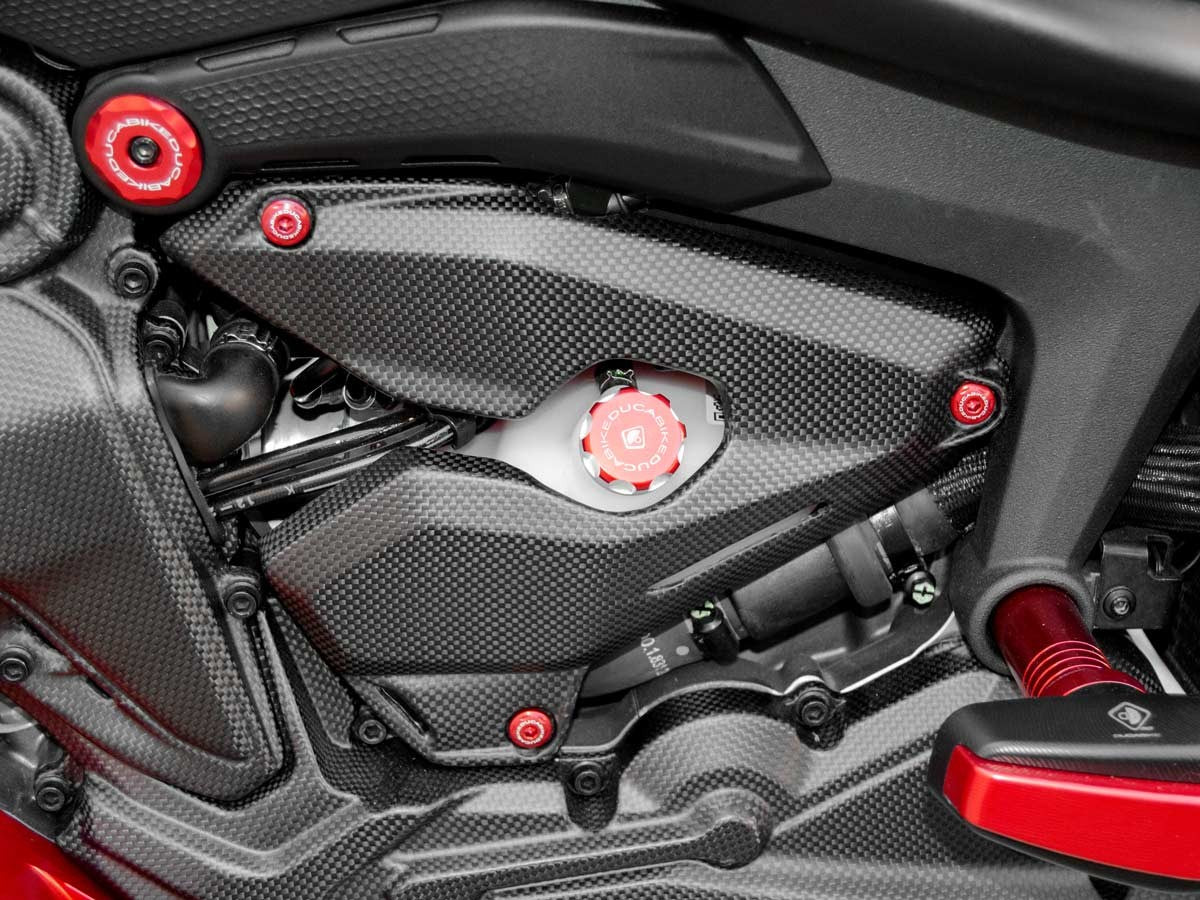 DBK Special Parts (Ducabike) Carbon Fiber Side Covers for Ducati Monster 937