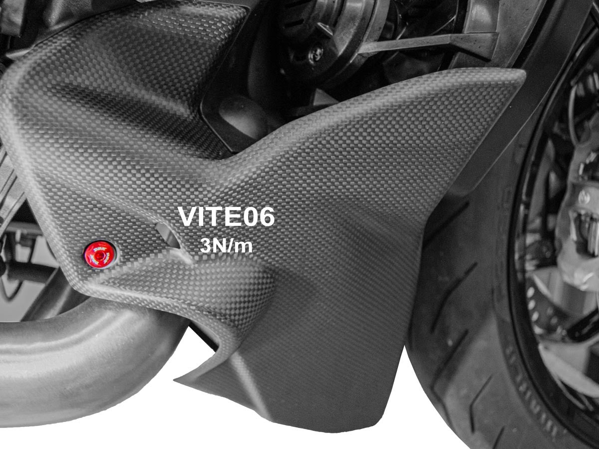 DBK Special Parts (Ducabike) Lower Radiator (Oil Cooler) Fairing Screw Kit for the Ducati Diavel V4