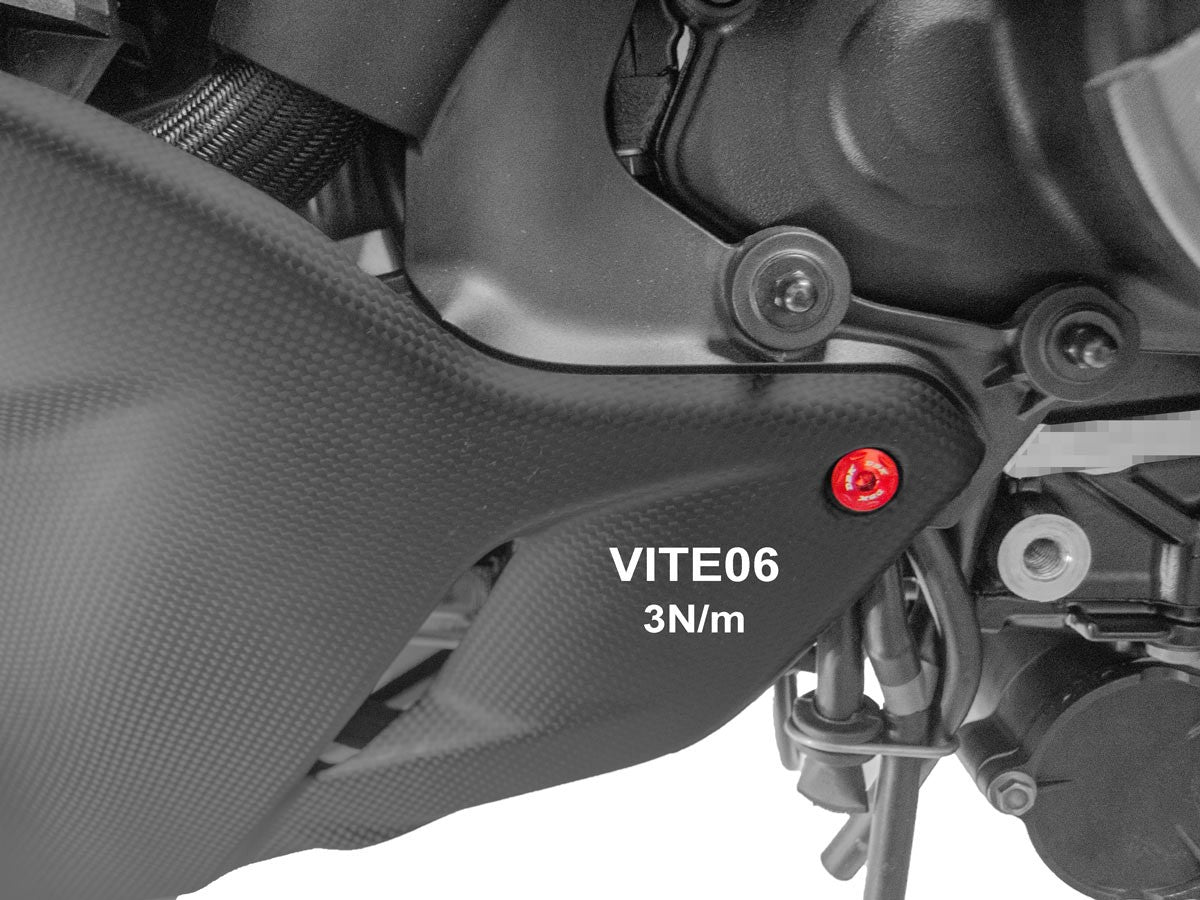 DBK Special Parts (Ducabike) Lower Radiator (Oil Cooler) Fairing Screw Kit for the Ducati Diavel V4