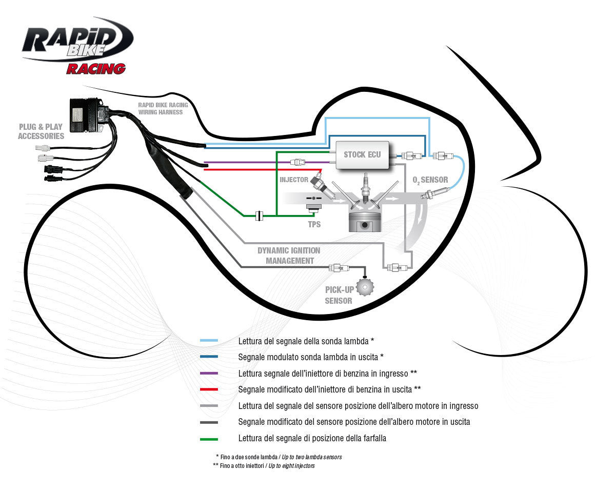 RapidBike RACING Self Adaptive Fueling Control Module for the Kawasaki Ninja 1000 (Z1000SX) (2020+)
