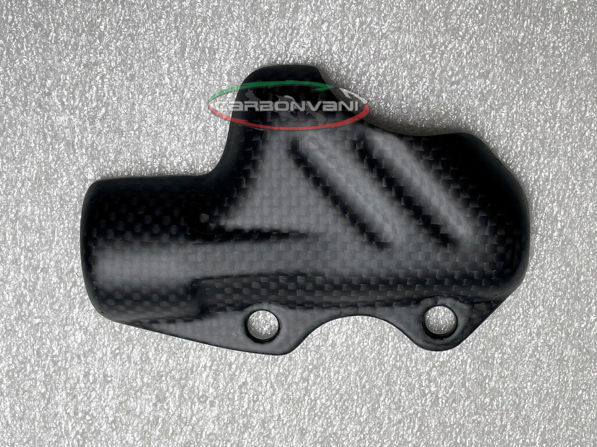 Carbonvani - Ducati Panigale / Streetfighter V4 / S / R / Speciale Carbon Fiber Rear Brake Master Cylinder Protector